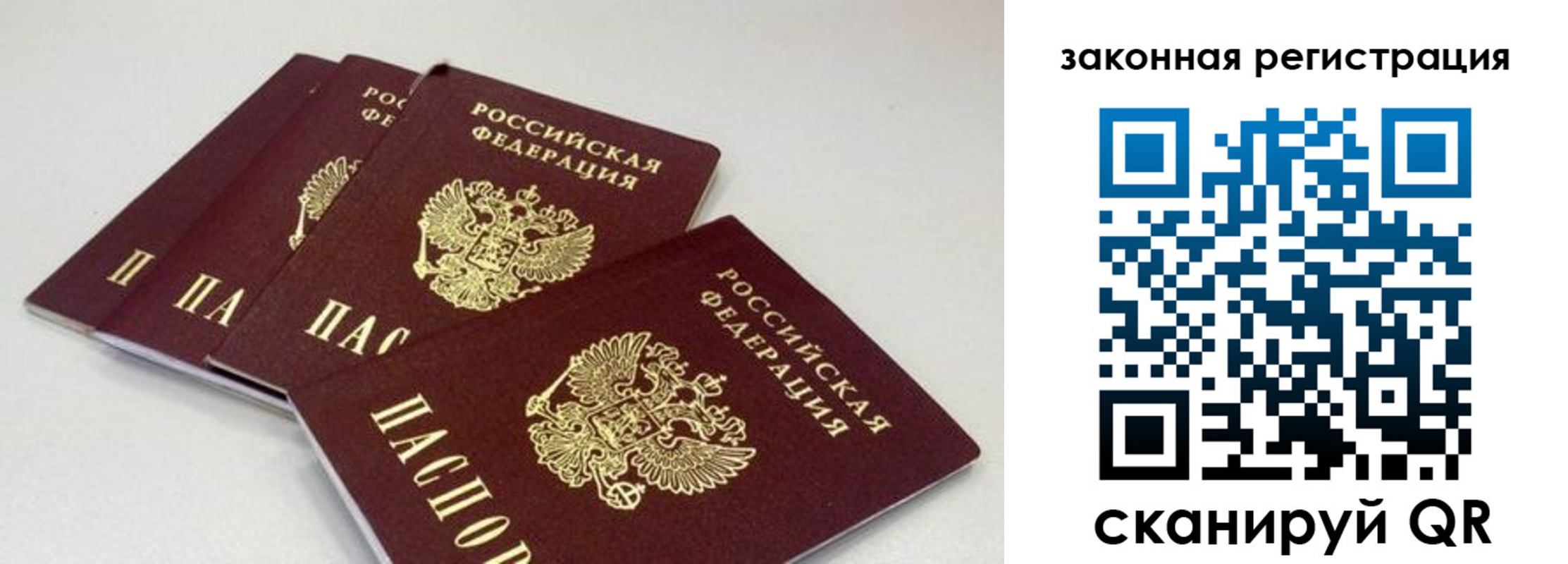 временная регистрация в Дрезне